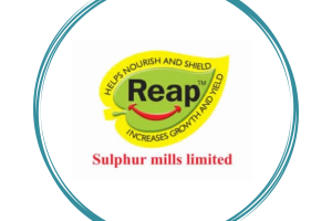 Handdrawn-Circle-Logo-1-1200x800-1