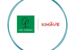 Handdrawn-Circle-Logo-23-1200x800-1